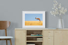 Springy-Wall_Art-60 x 45cm-Framed Print-White-Pixalot
