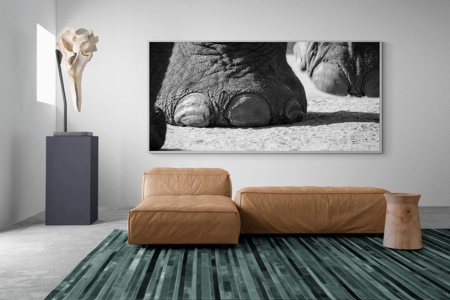 Stomp-Wall_Art-275 x 130cm-Mounted Canvas-White-Pixalot