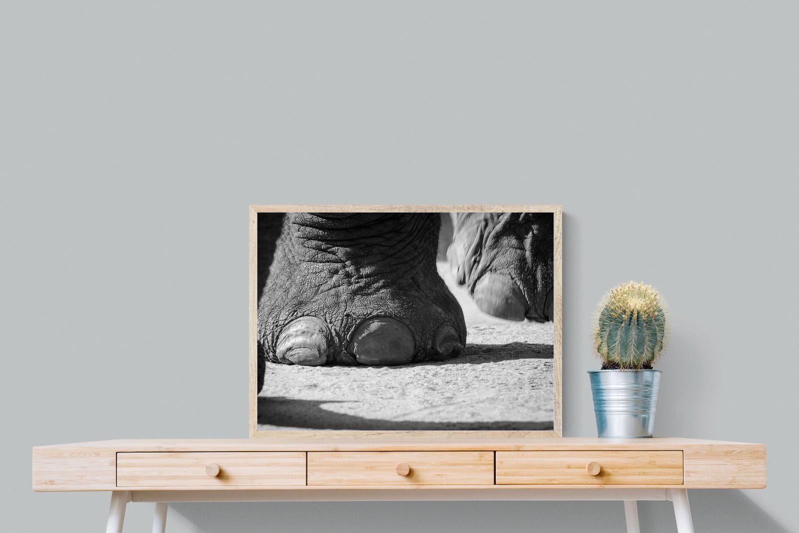 Stomp-Wall_Art-80 x 60cm-Mounted Canvas-Wood-Pixalot