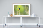 Sunbird-Wall_Art-120 x 90cm-Framed Print-Wood-Pixalot