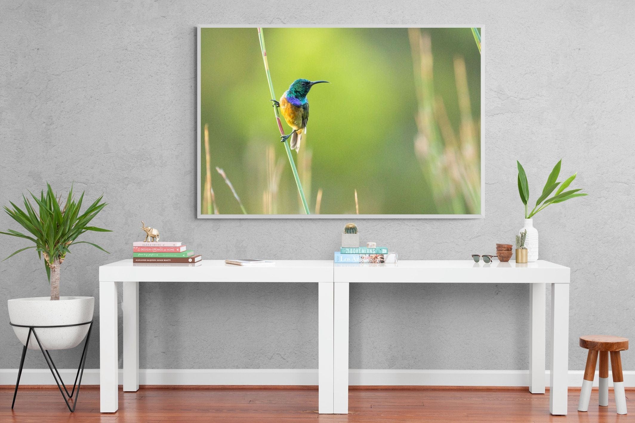 Sunbird-Wall_Art-150 x 100cm-Mounted Canvas-White-Pixalot