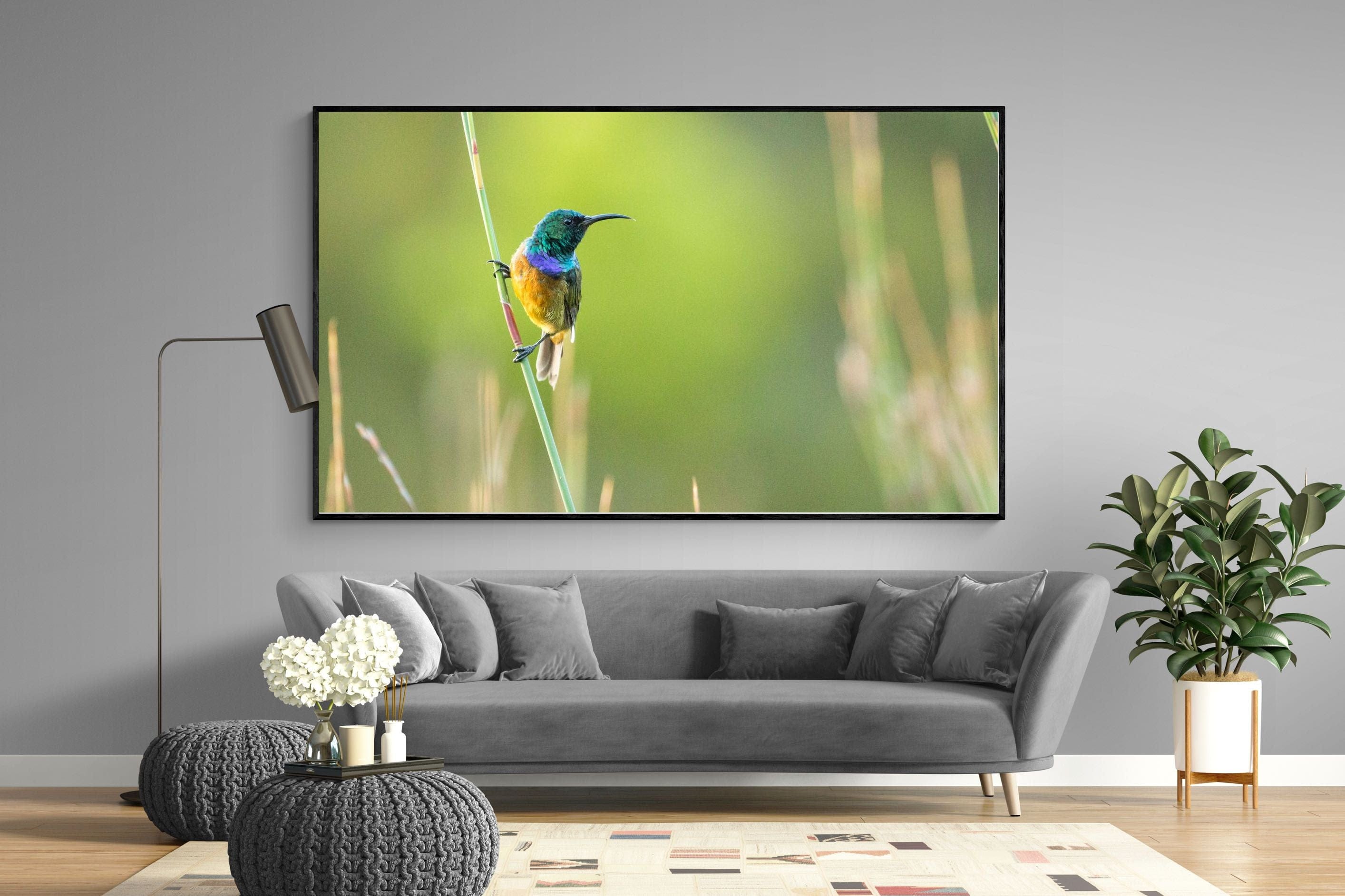 Sunbird-Wall_Art-220 x 130cm-Mounted Canvas-Black-Pixalot