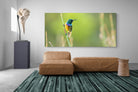 Pixalot Sunbird