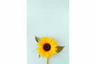 Sunflower-Wall_Art-Pixalot