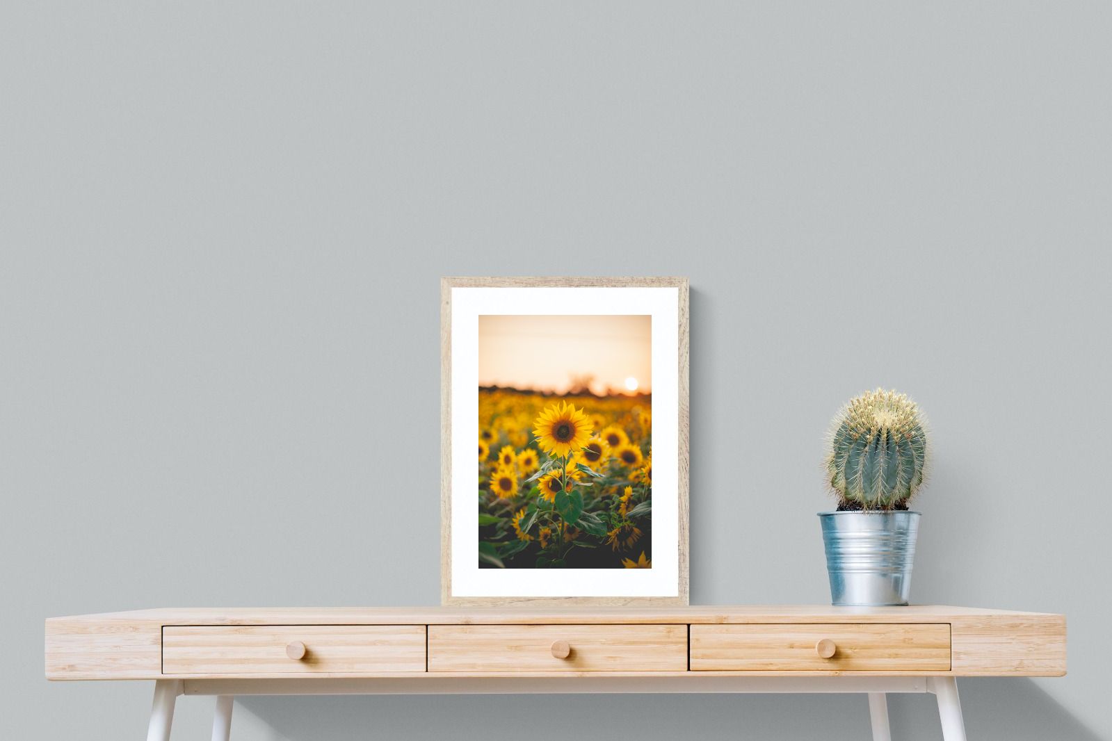 Pixalot Sunflowers at Sunset