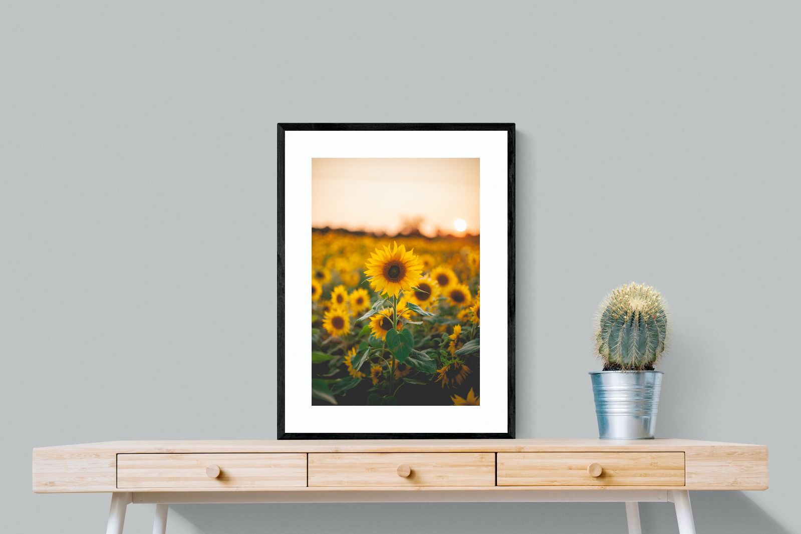 Pixalot Sunflowers at Sunset