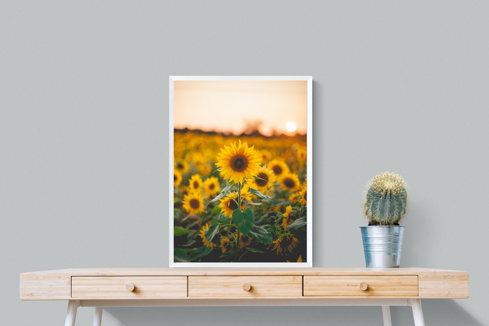 Pixalot Sunflowers at Sunset