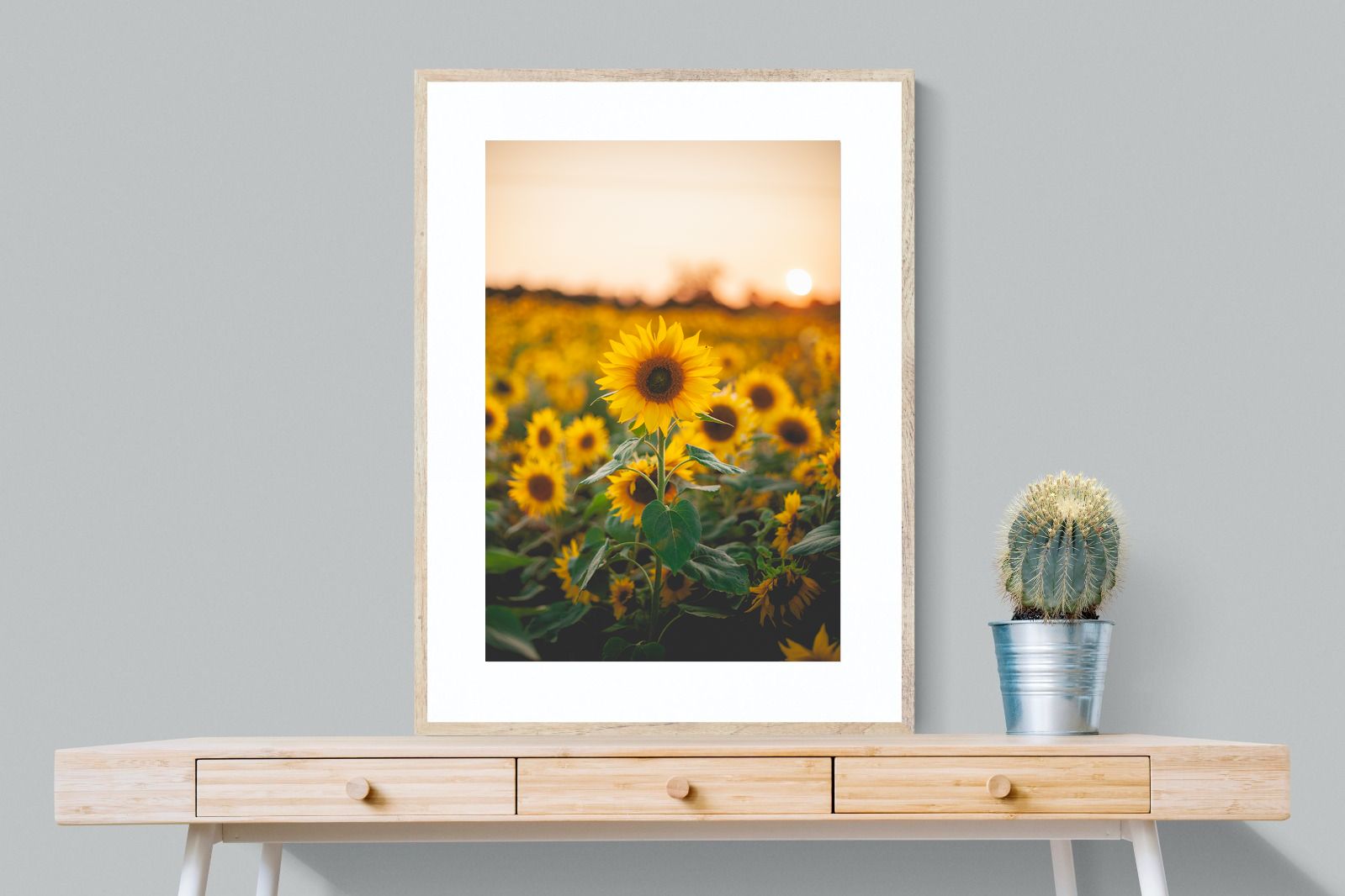 Pixalot Sunflowers at Sunset