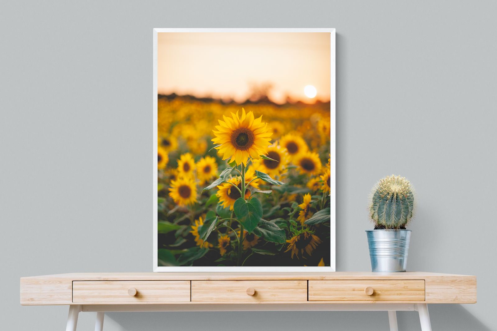 Pixalot Sunflowers at Sunset