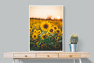 Pixalot Sunflowers at Sunset