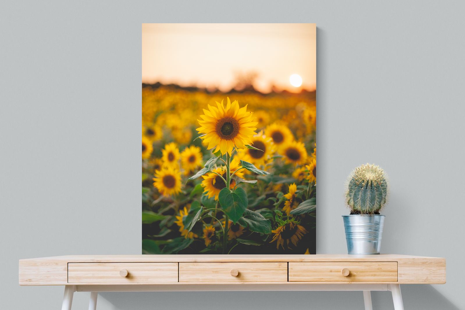 Pixalot Sunflowers at Sunset