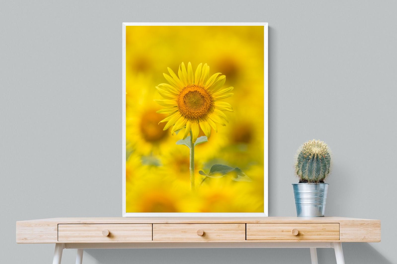 Sunniest Sunflower-Wall_Art-75 x 100cm-Mounted Canvas-White-Pixalot