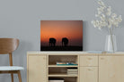 Pixalot Sunset Tuskers