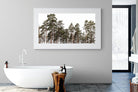 Tall Pines-Wall_Art-180 x 110cm-Framed Print-White-Pixalot