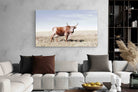 Pixalot Tan Nguni