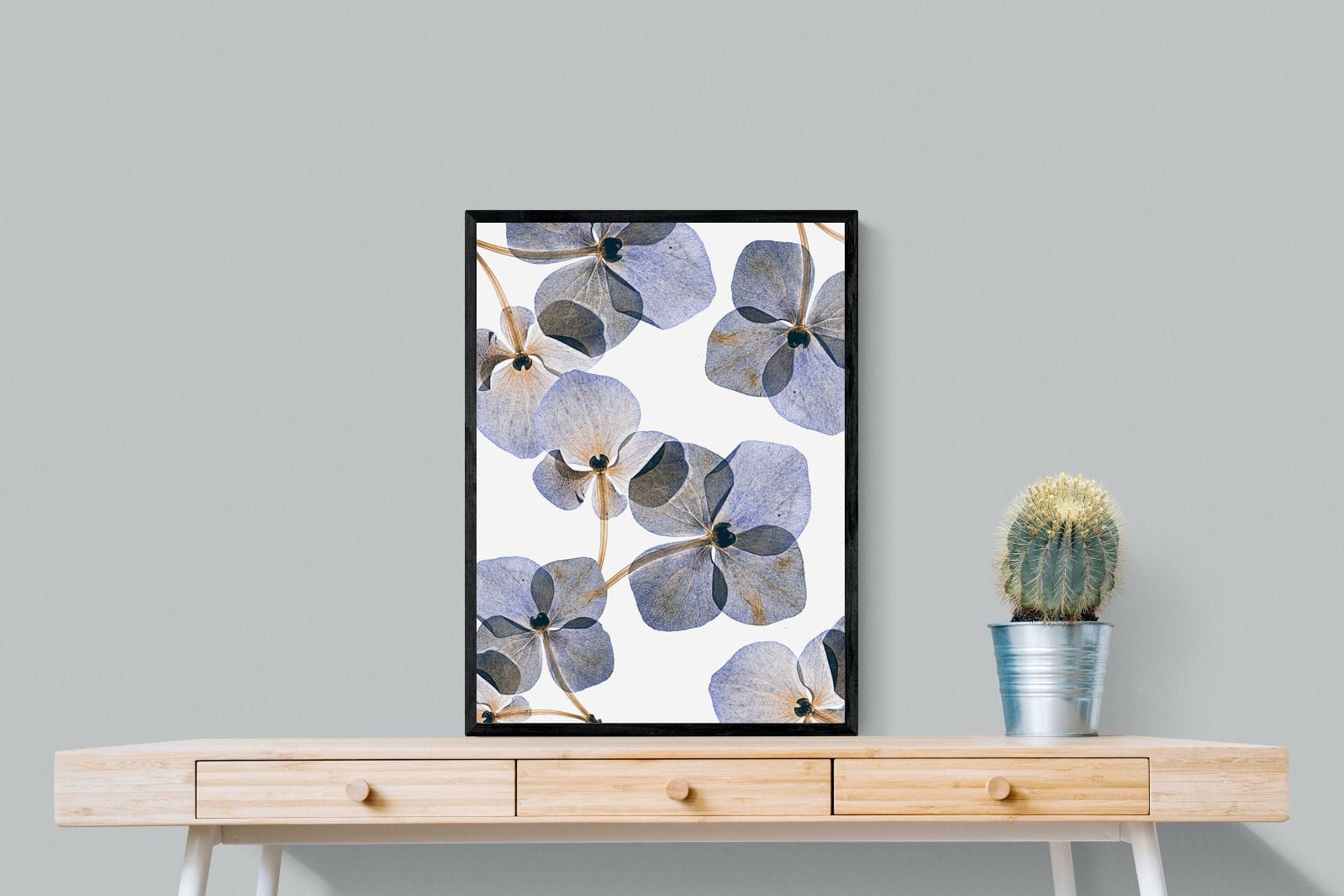 Translucent Botanical-Wall_Art-60 x 80cm-Mounted Canvas-Black-Pixalot