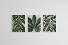 Tropical Leaves Set-Wall_Art-45 x 60cm (x3)-Mounted Canvas-White-Pixalot
