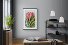 Pixalot Venus Protea