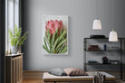 Pixalot Venus Protea