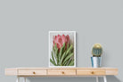 Pixalot Venus Protea