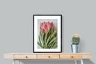 Pixalot Venus Protea
