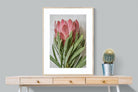 Pixalot Venus Protea