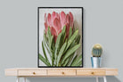 Pixalot Venus Protea
