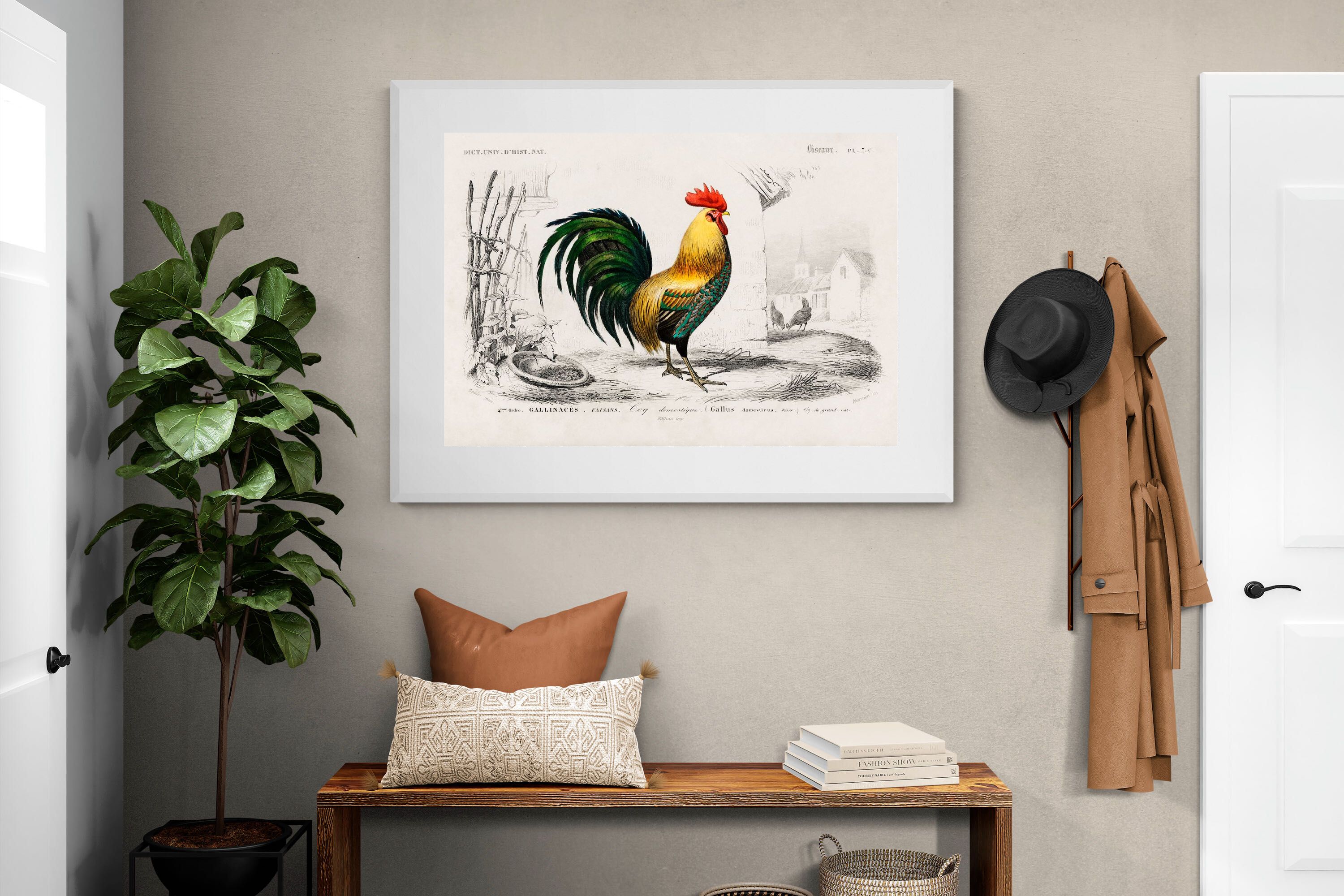 Pixalot Vintage Cockerel Illustration