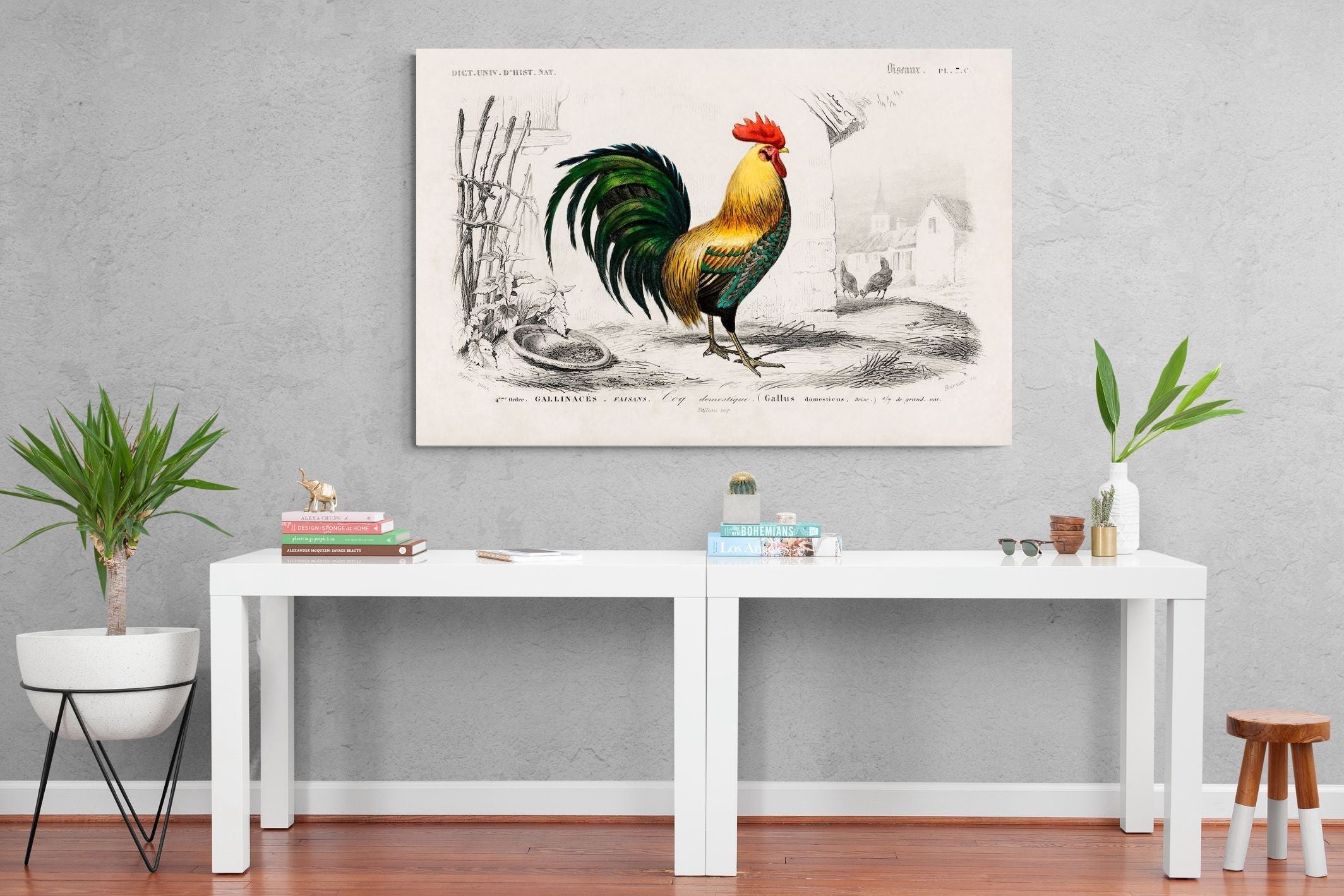 Pixalot Vintage Cockerel Illustration