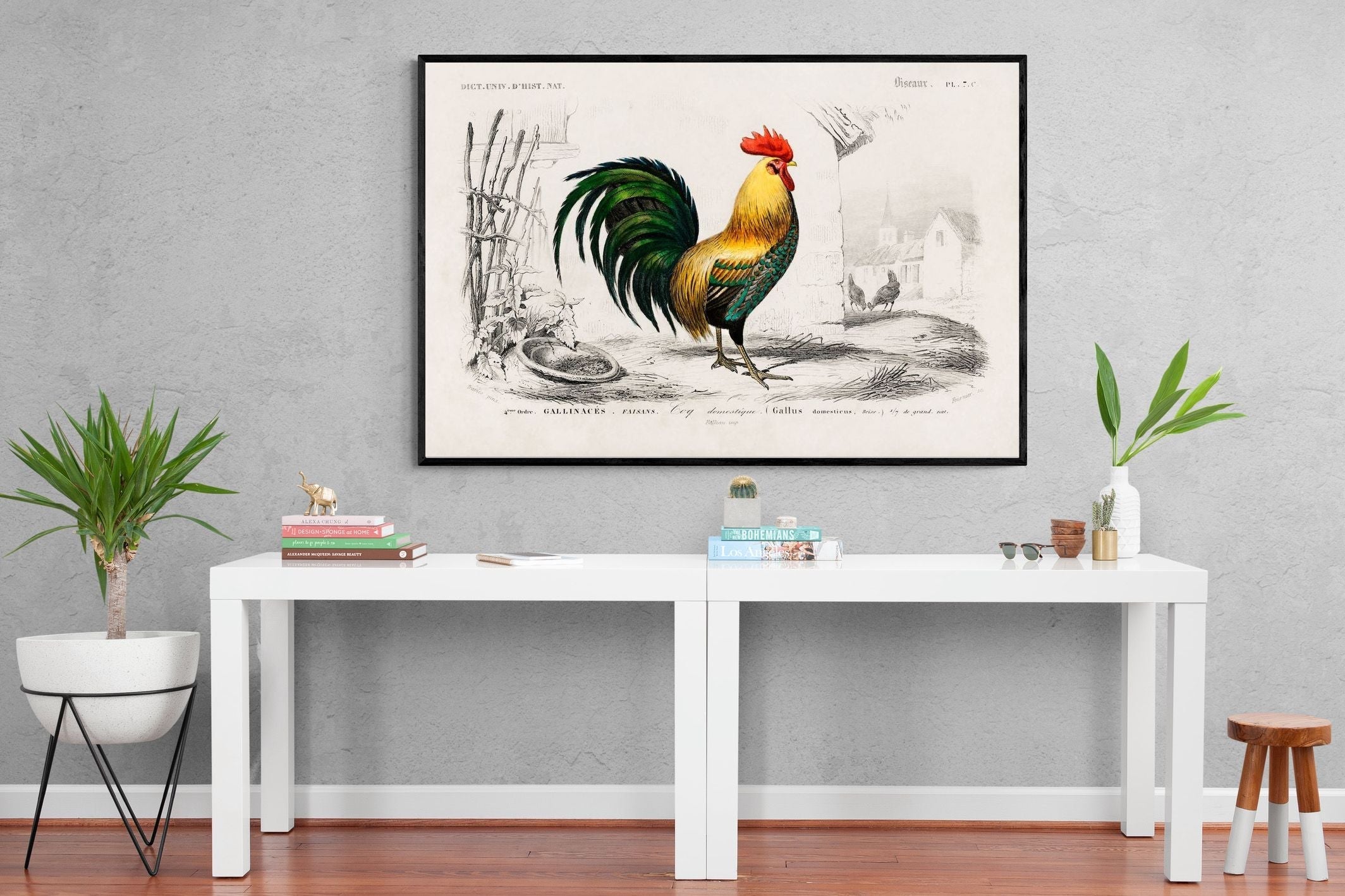 Pixalot Vintage Cockerel Illustration