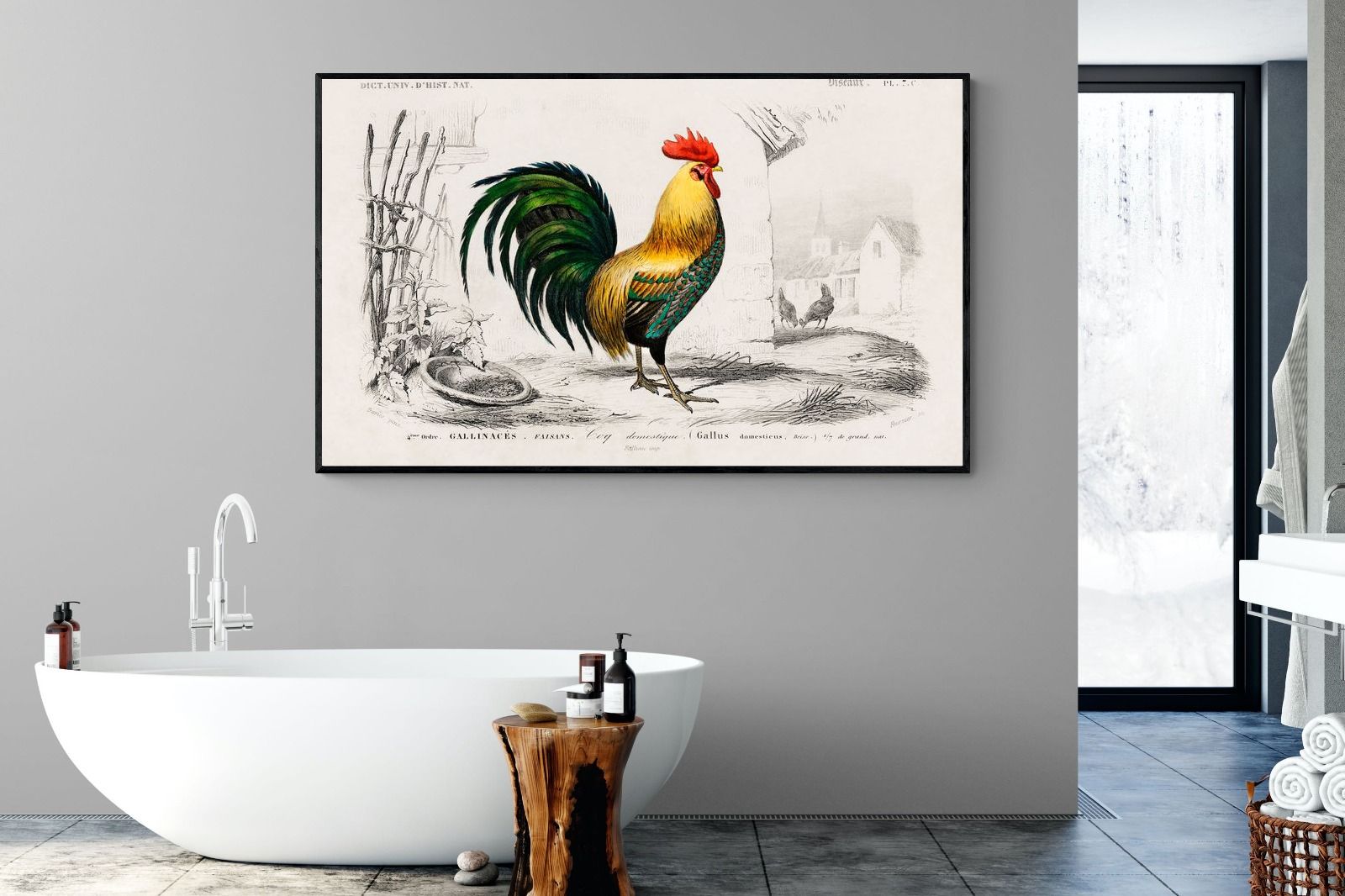 Pixalot Vintage Cockerel Illustration