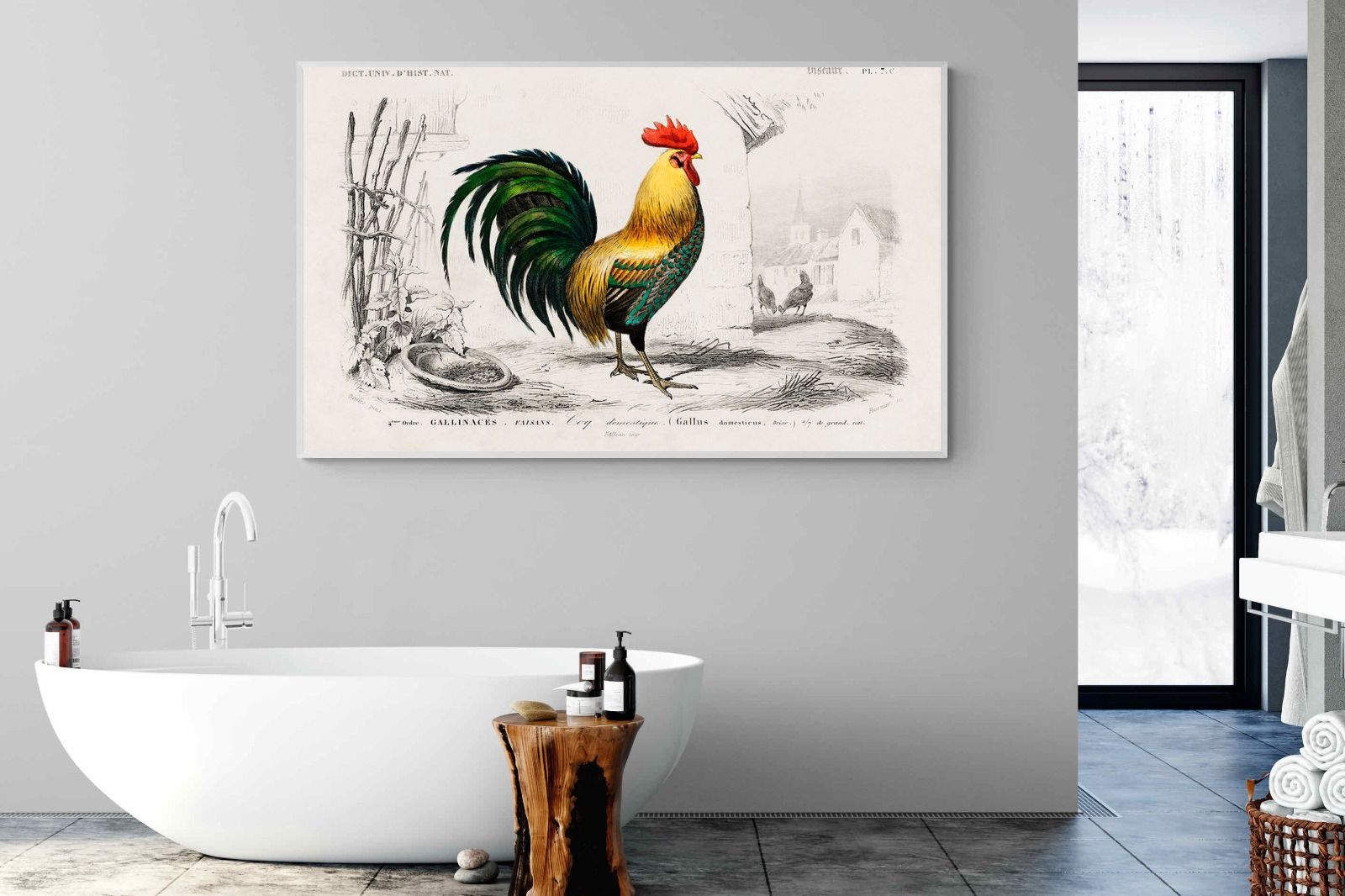 Pixalot Vintage Cockerel Illustration