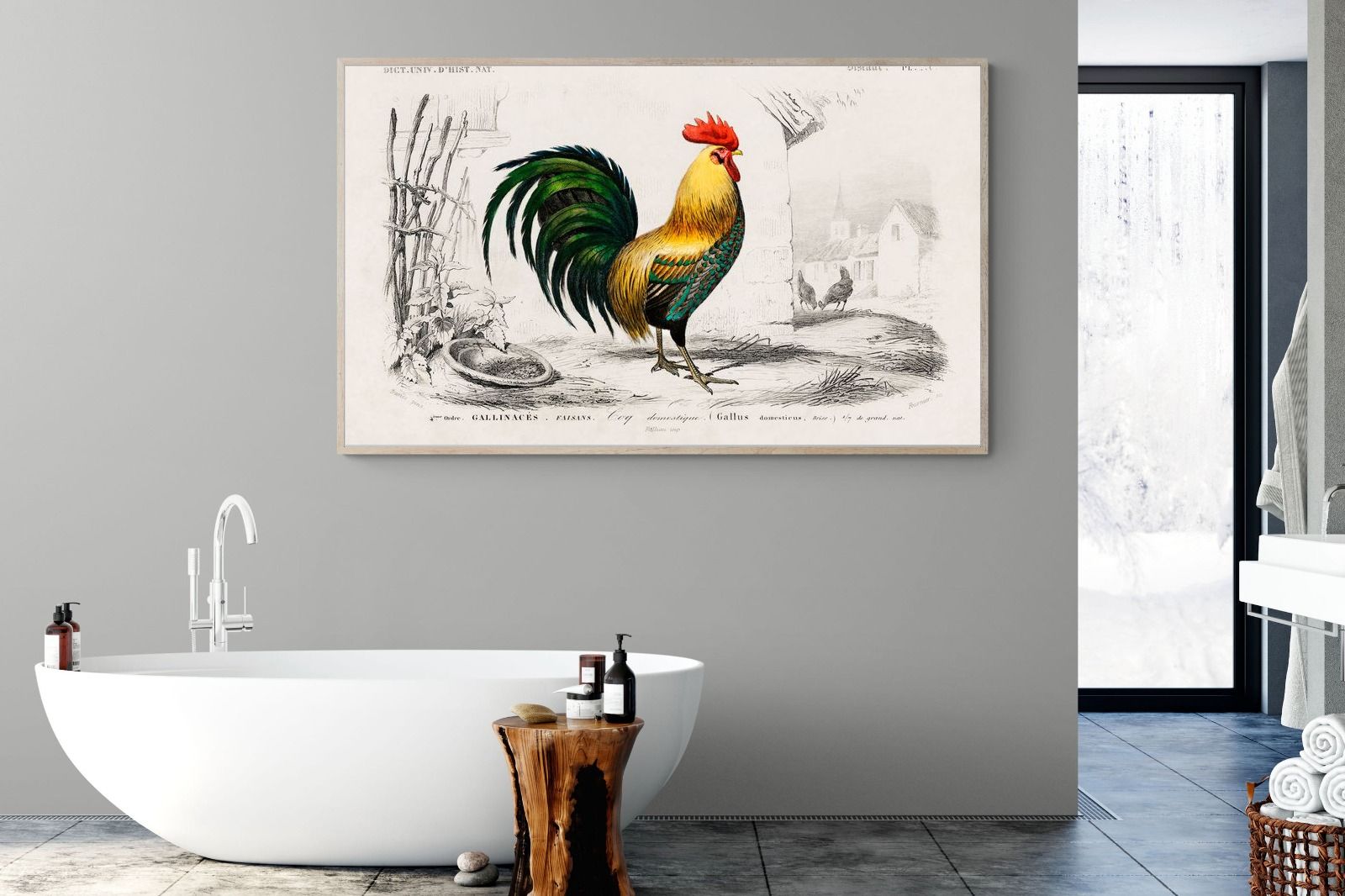 Pixalot Vintage Cockerel Illustration