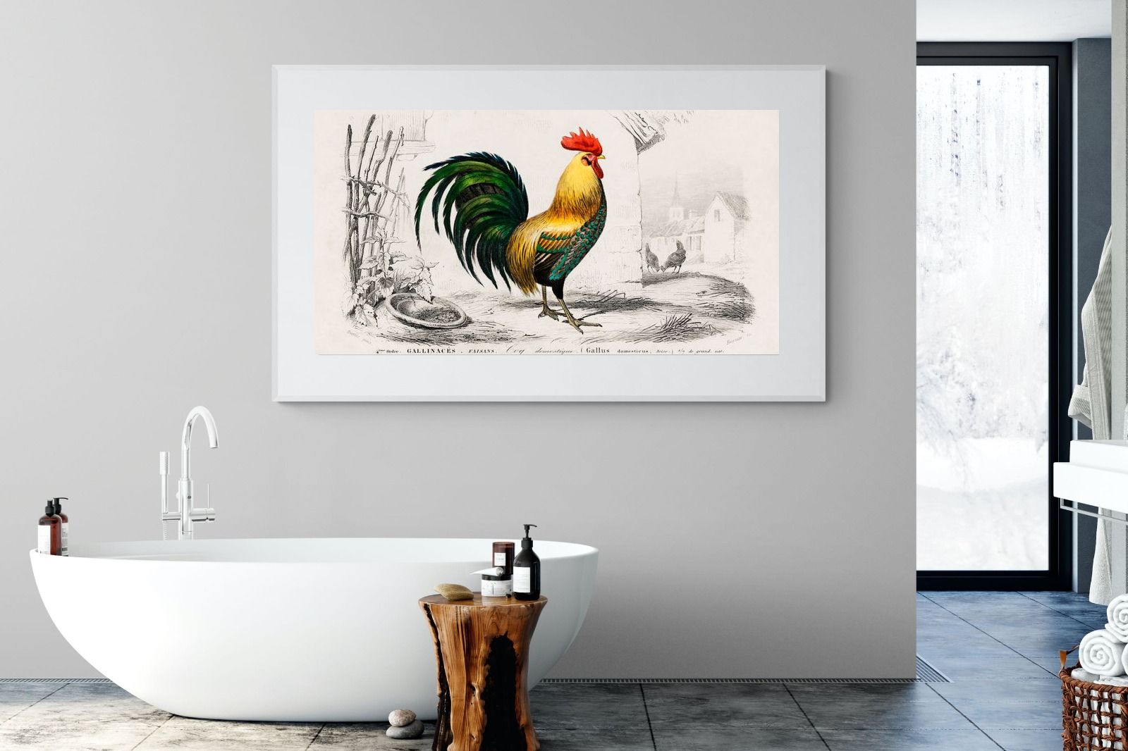 Pixalot Vintage Cockerel Illustration