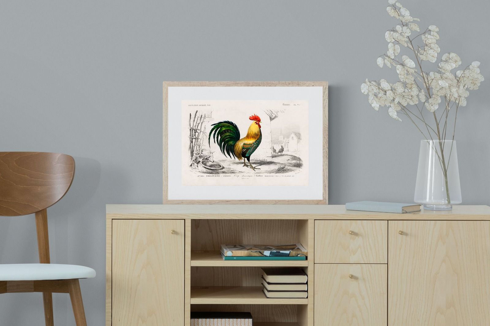 Pixalot Vintage Cockerel Illustration