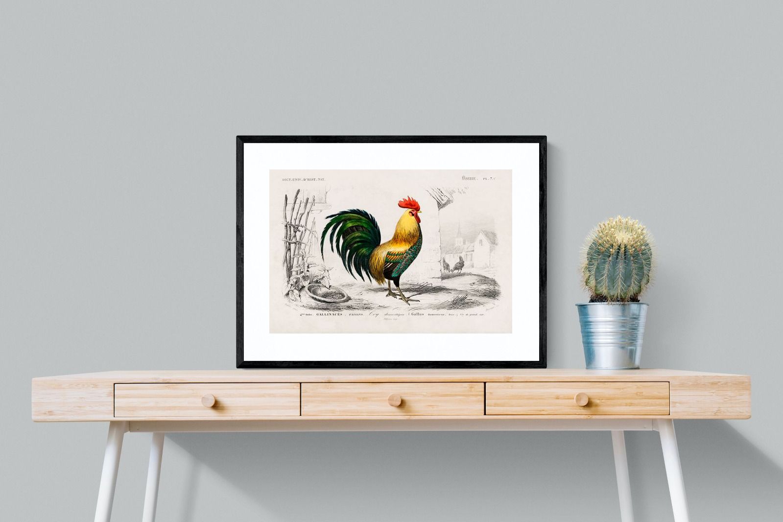 Pixalot Vintage Cockerel Illustration