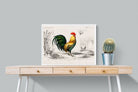 Pixalot Vintage Cockerel Illustration