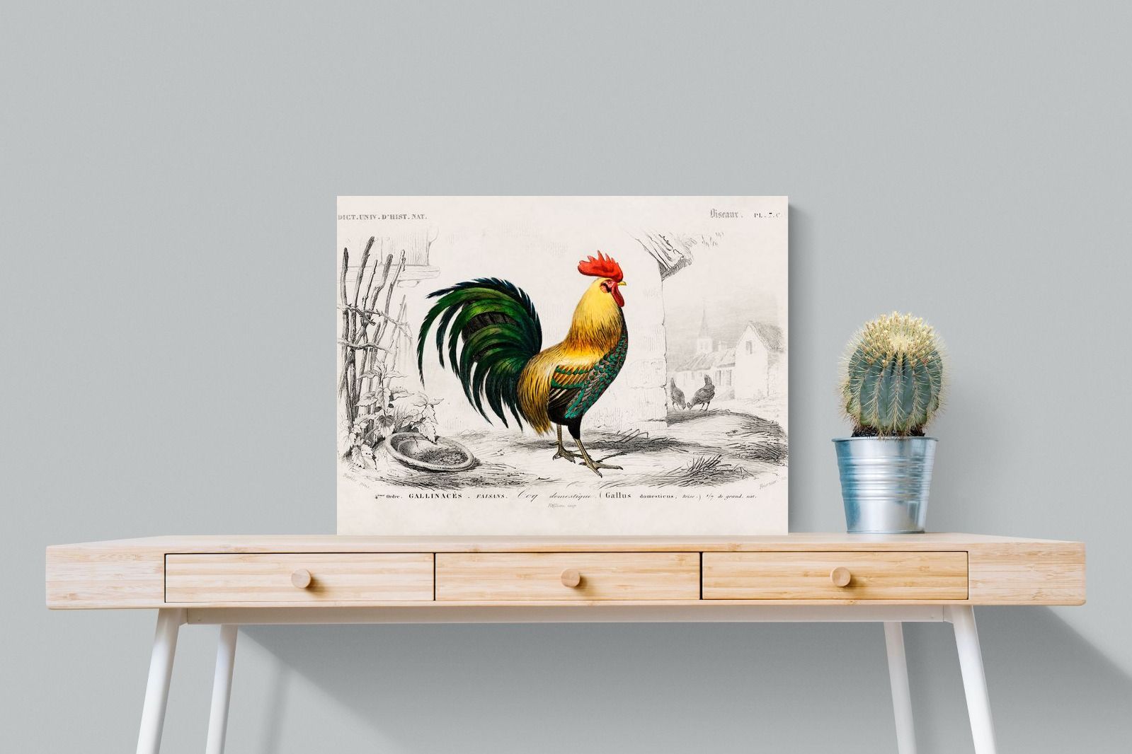 Pixalot Vintage Cockerel Illustration