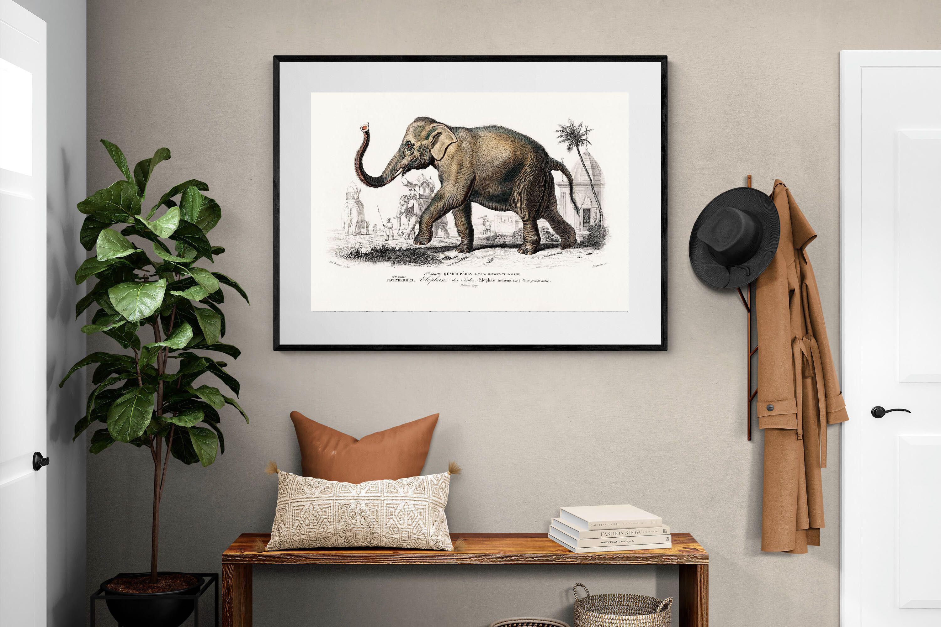 Pixalot Vintage Elephant Illustration