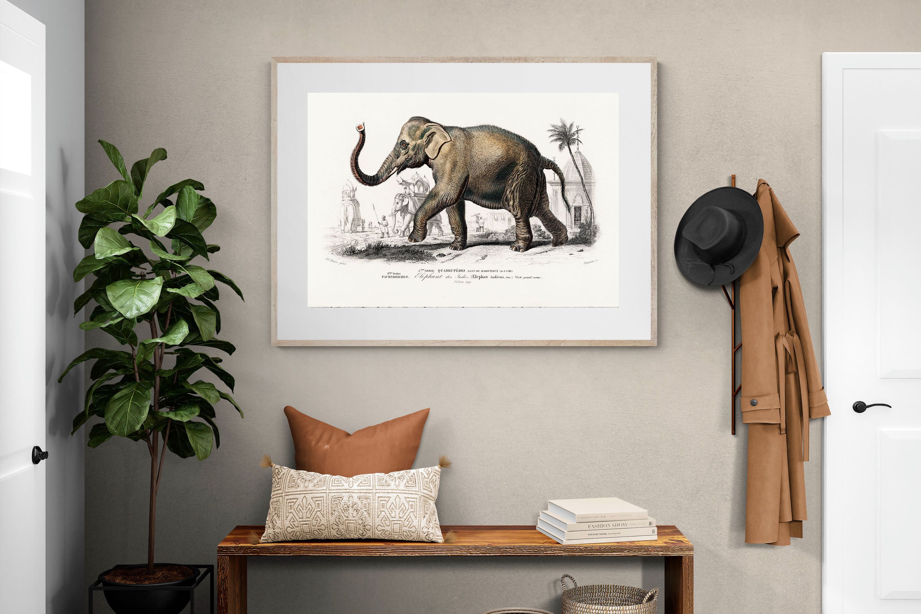 Pixalot Vintage Elephant Illustration