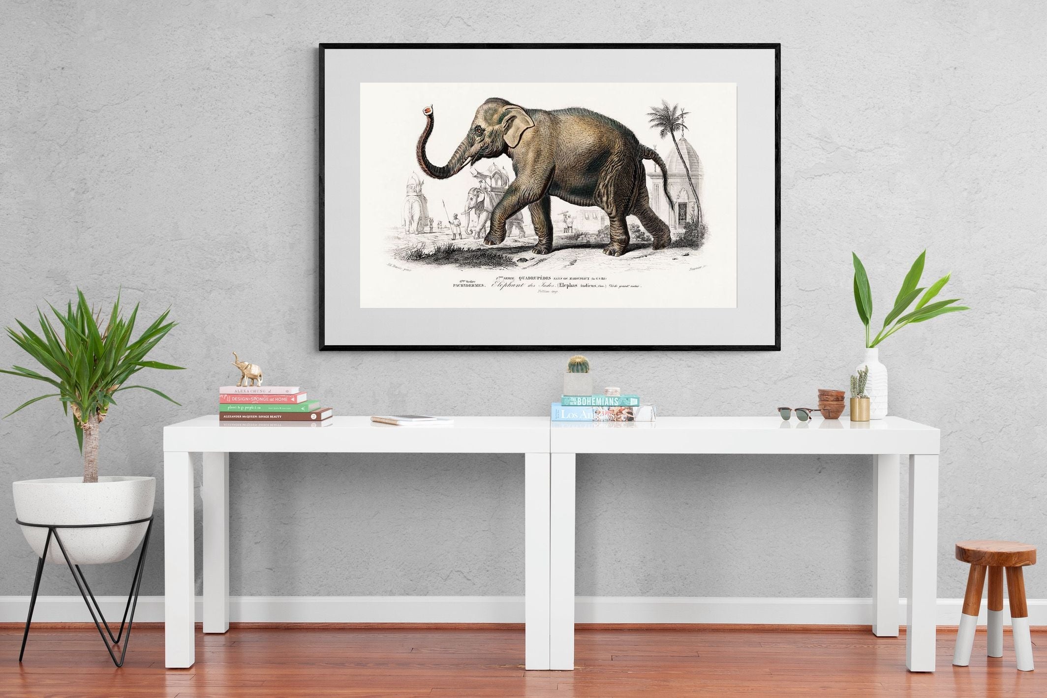 Pixalot Vintage Elephant Illustration