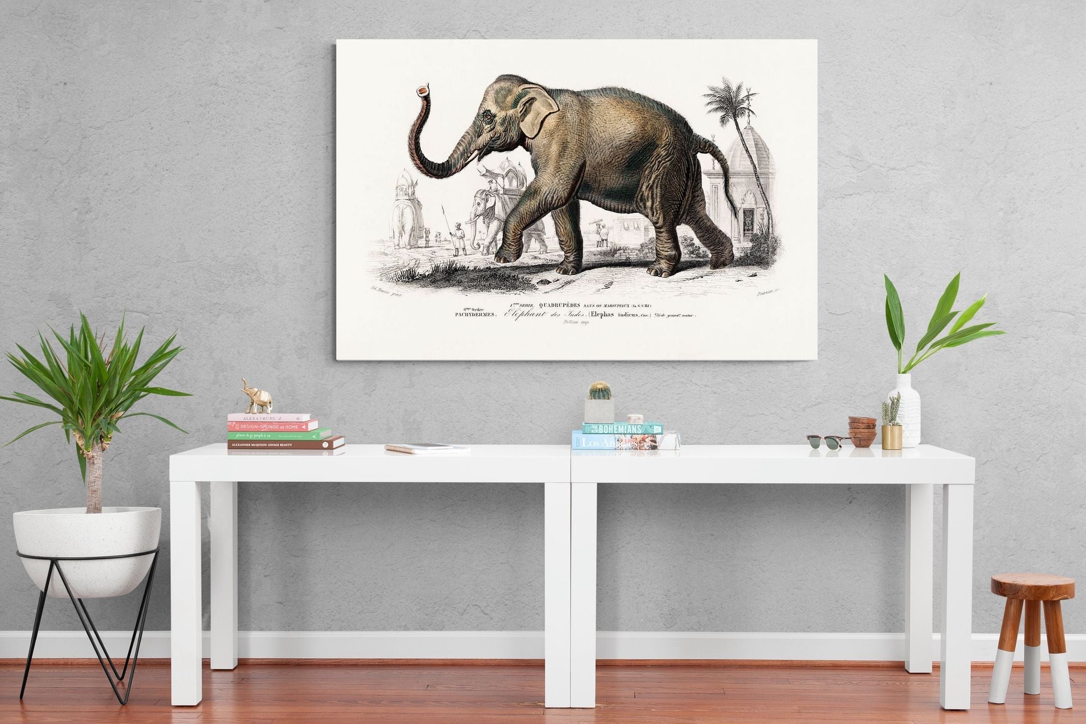 Pixalot Vintage Elephant Illustration