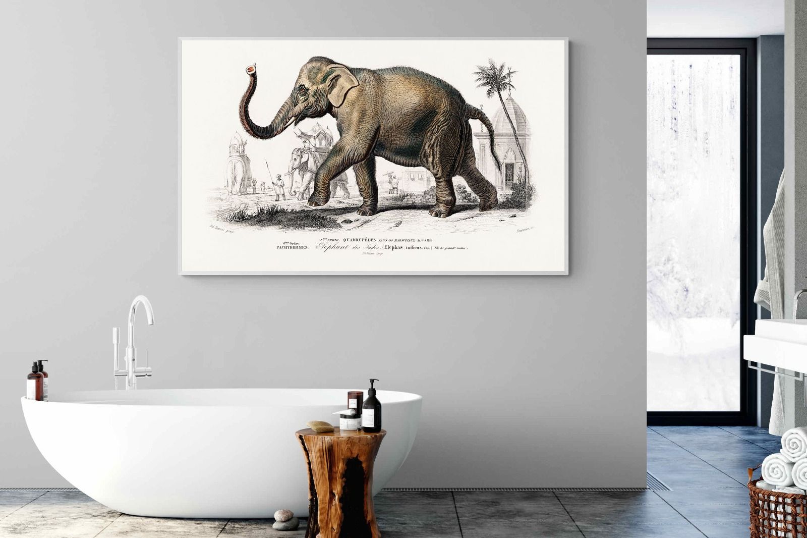 Pixalot Vintage Elephant Illustration