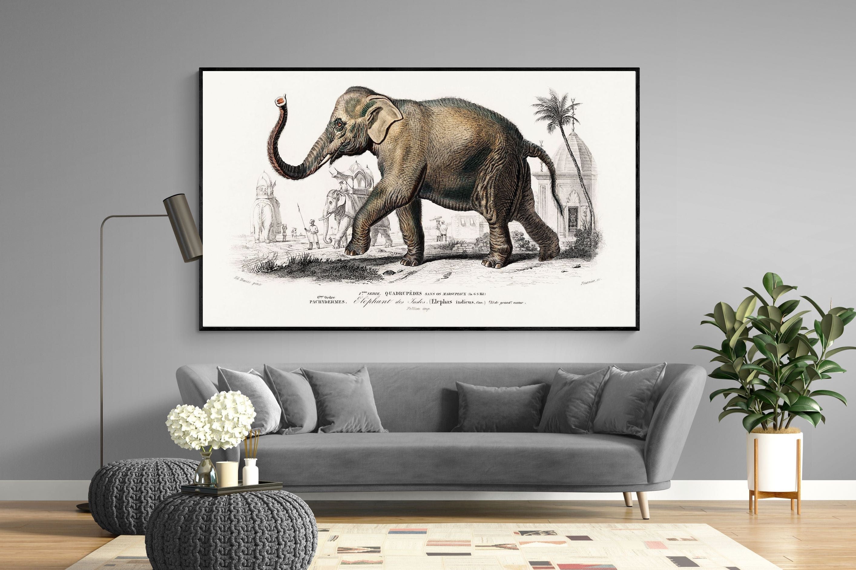 Pixalot Vintage Elephant Illustration