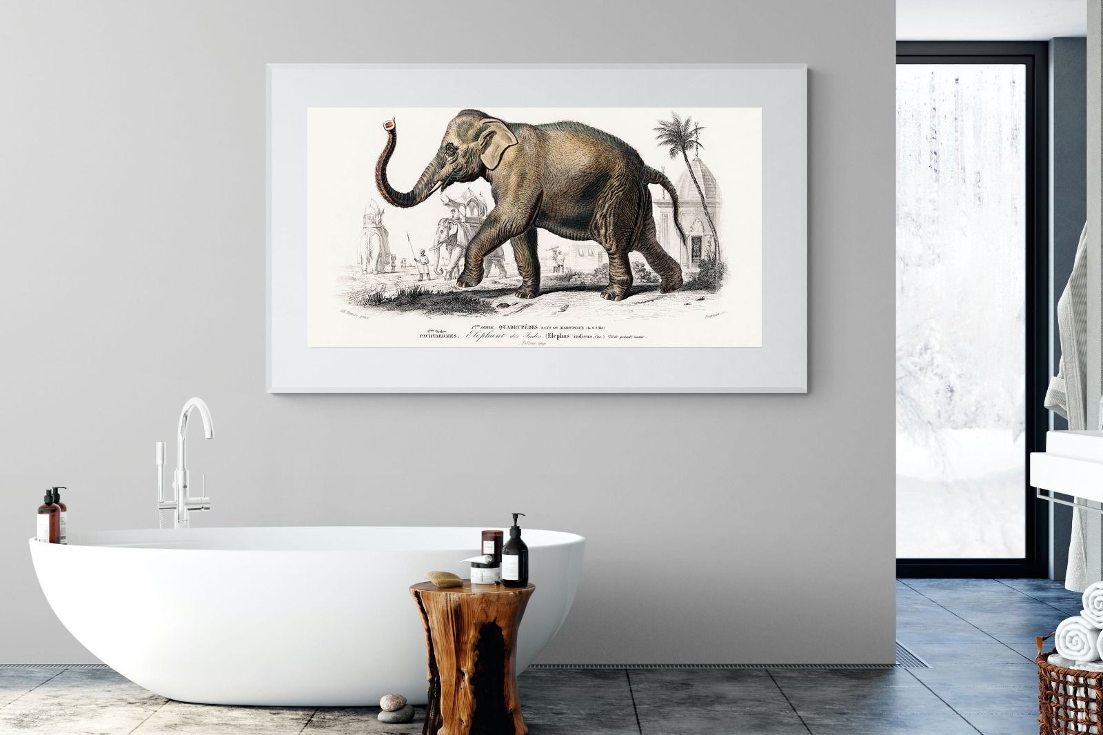 Pixalot Vintage Elephant Illustration