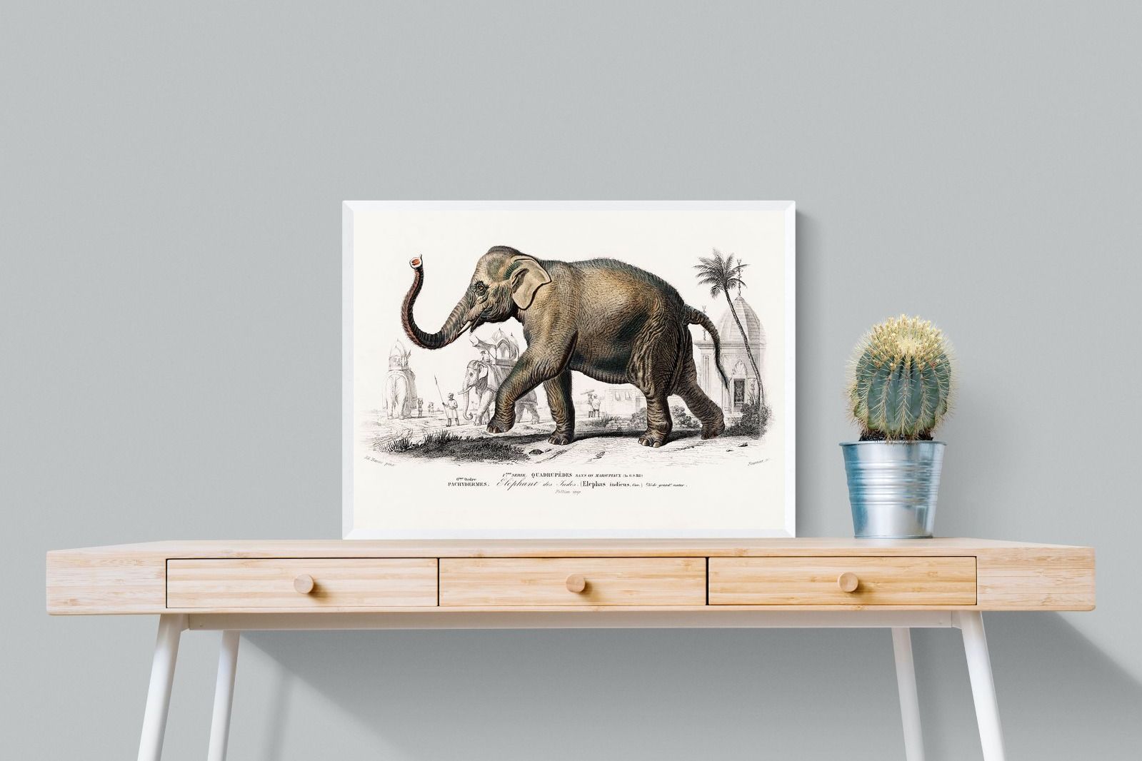 Pixalot Vintage Elephant Illustration