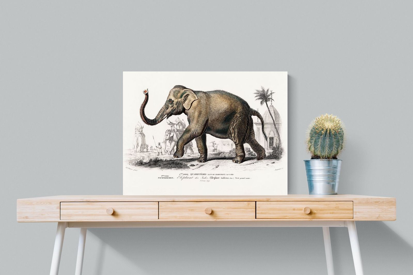 Pixalot Vintage Elephant Illustration