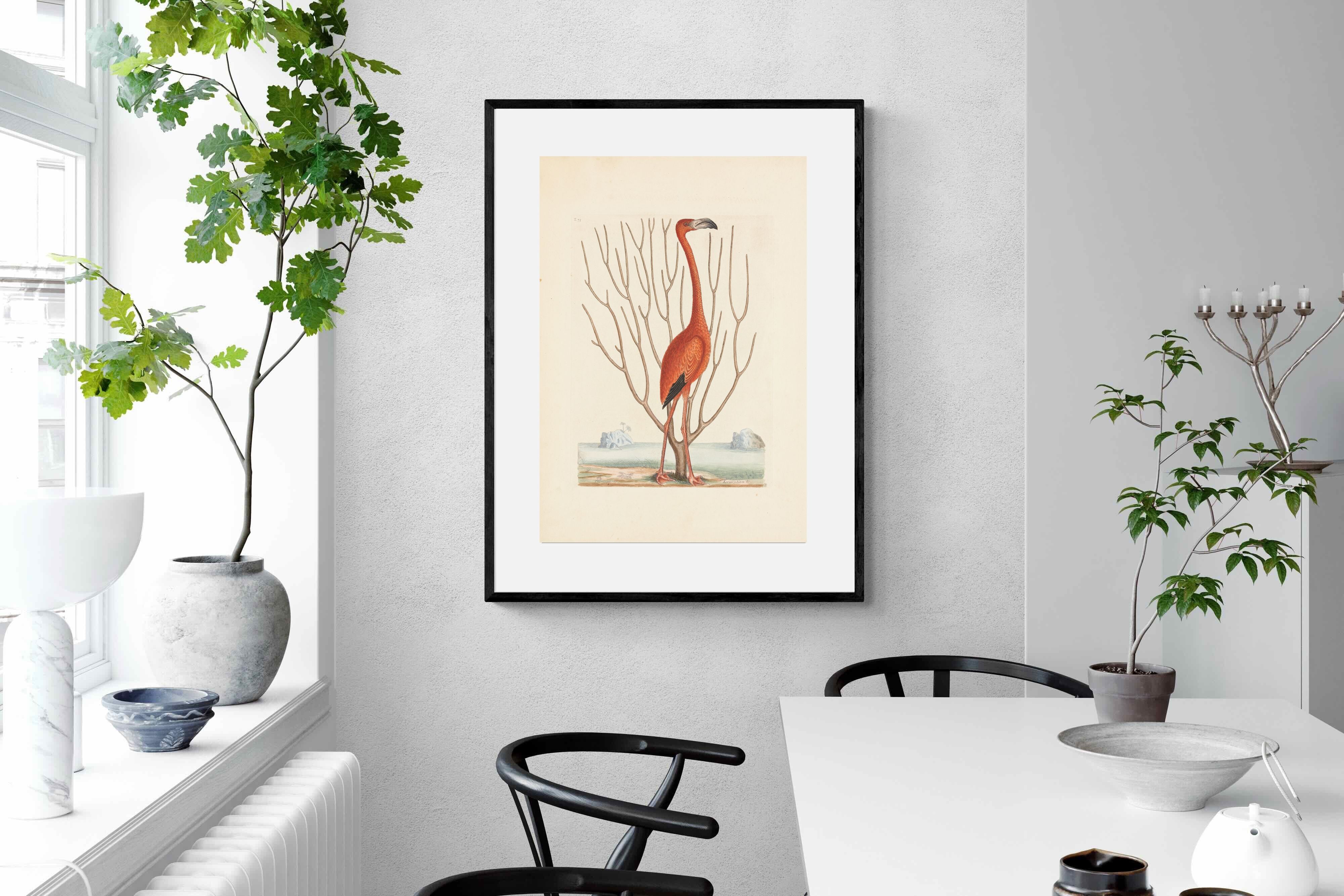 Pixalot Vintage Flamingo