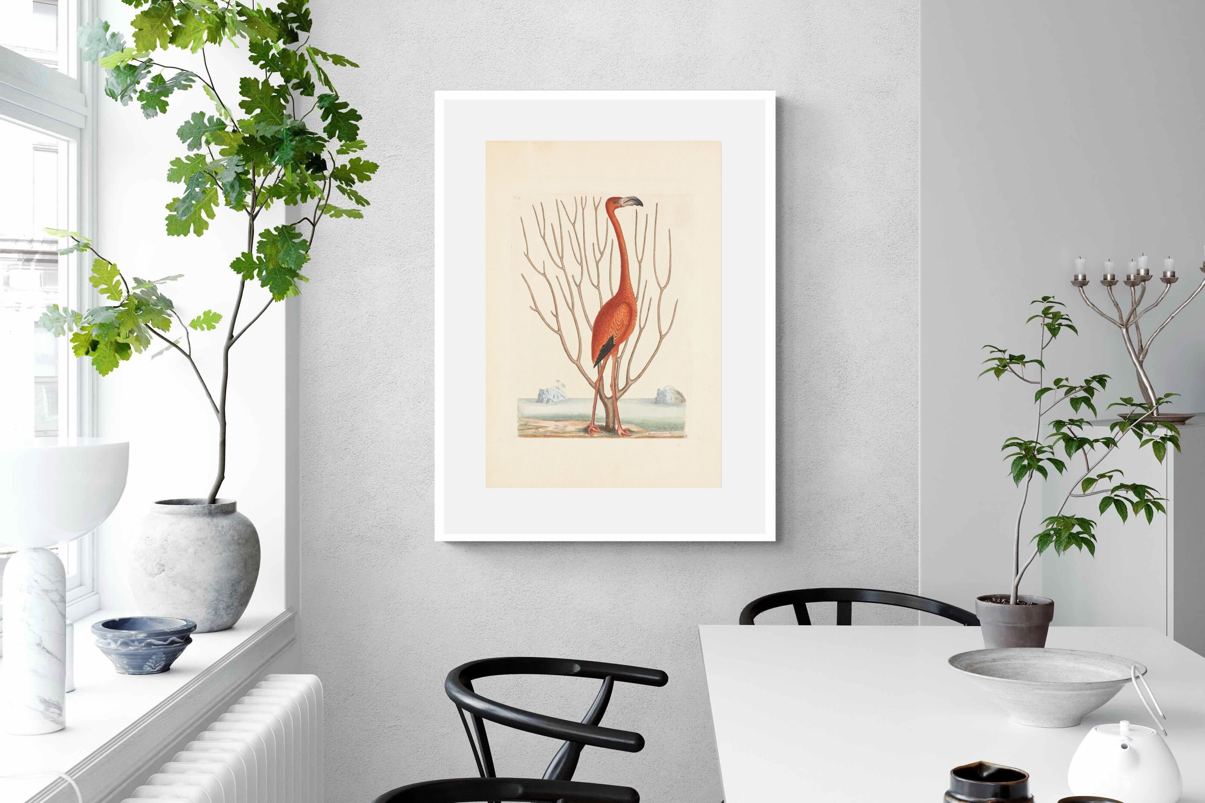 Pixalot Vintage Flamingo