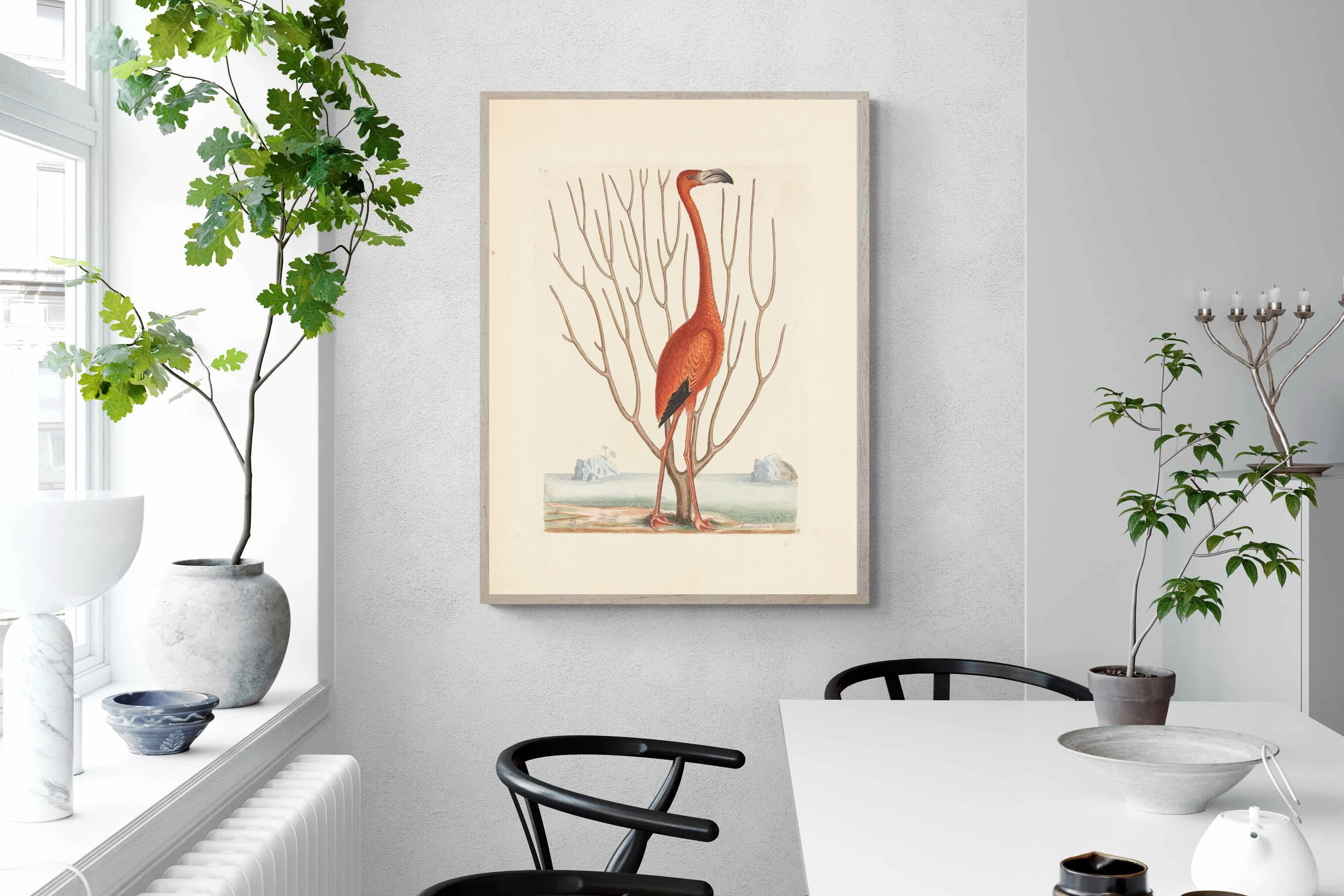 Pixalot Vintage Flamingo